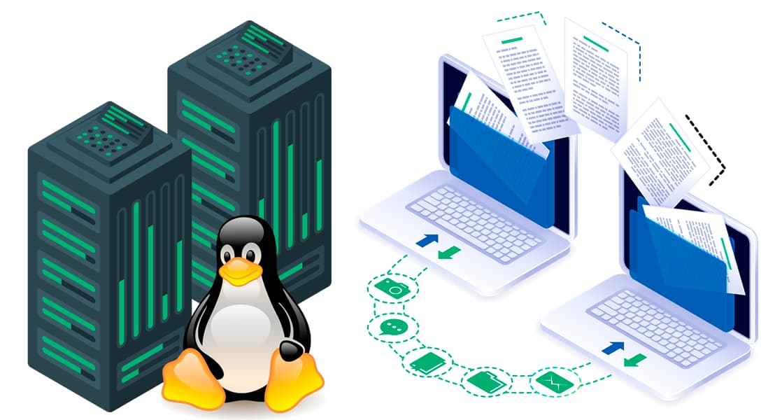 Linux Professional Hosting